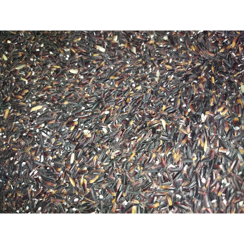 

Ketan Hitam Super 250 gr