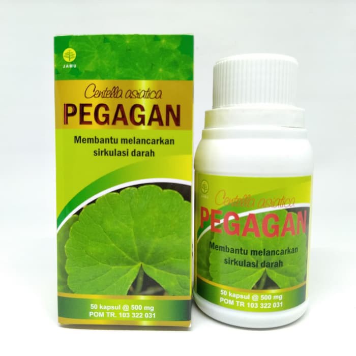 Obat Sakit Kepala dari Tanaman Herbal, Apa Saja Ya Khasiatnya?