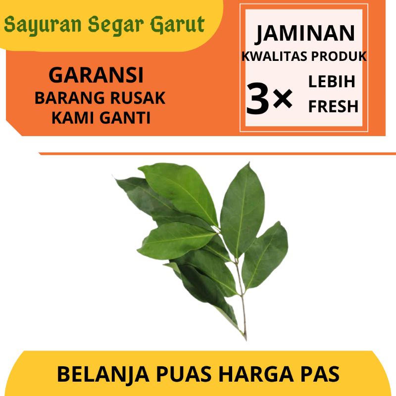 

Daun Salam Salam Bumbu Dapur Per Tusuk bY sayuran Segar Garut