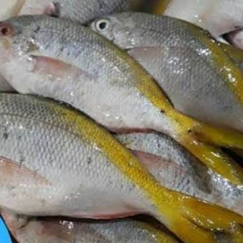 

1kg Ikan Ekor Kuning Segar/ Ekor Kuning Segar Bersih