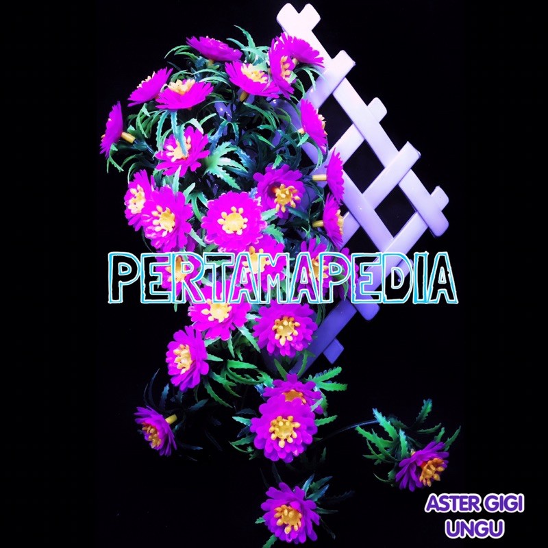 C5 Bunga Aster Gigi/Bunga Plastik/Daun Plastik/Rumput Plastik/Daun Rambat Plastik/Bunga Dekorasi-4