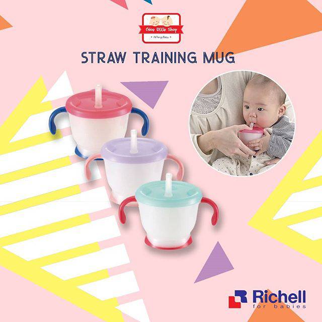 Richell Cup de mug / Straw training mug