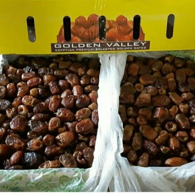 

Kurma mesir
