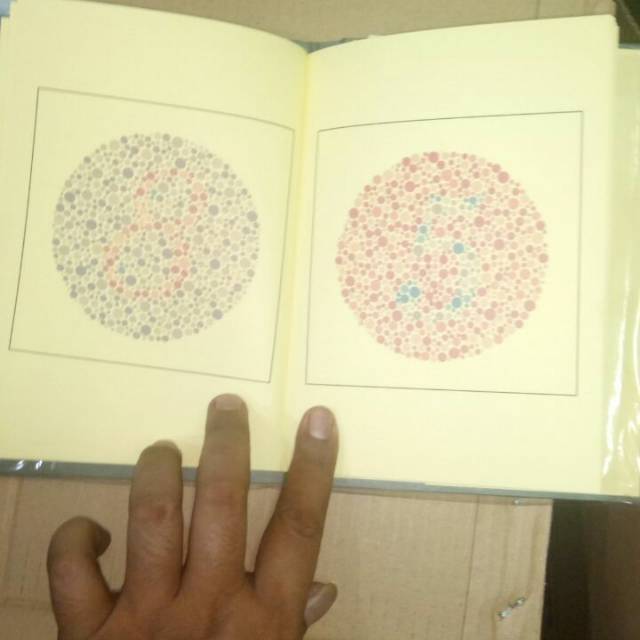 Buku BUTA WARNA ichihara