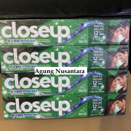 Pasta Gigi / Odol Close Up Menthol Fresh 65 gr
