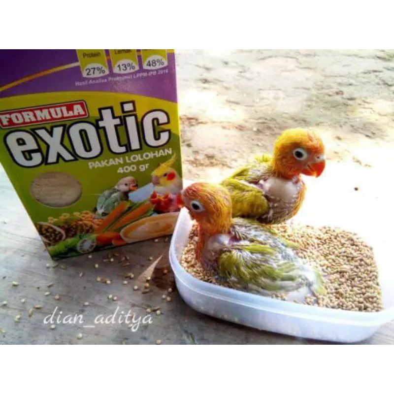 Exotic Bubur Pakan Lolohan Burung Kemasan Kardus 400gr Original