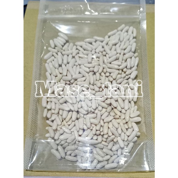 benih BUNCIS KENYA kemasan repack isi 100g buncis tanpa lanjaran/ tidak merambat
