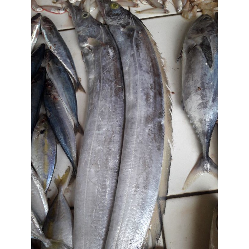 

Ikan Layur / 500gr