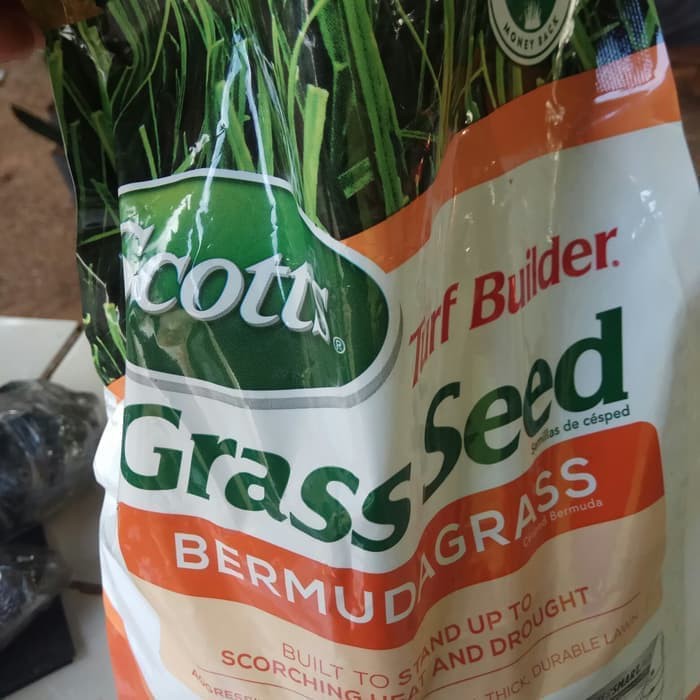 biji rumput Grass seed - Bermuda Grass kemasan 1kg