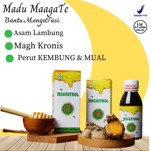 Maagate Madu Original Obat Maag Kronis Dan Asam Lambung Tinggi