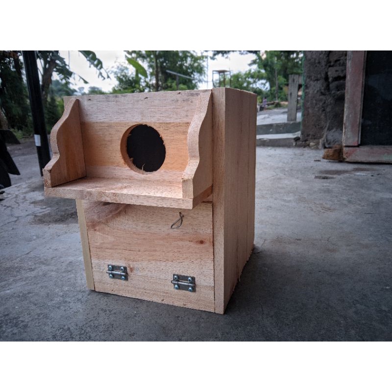 Glodok Burung Lovebird Parkit Glodok Topi Rumah Burung Koloni