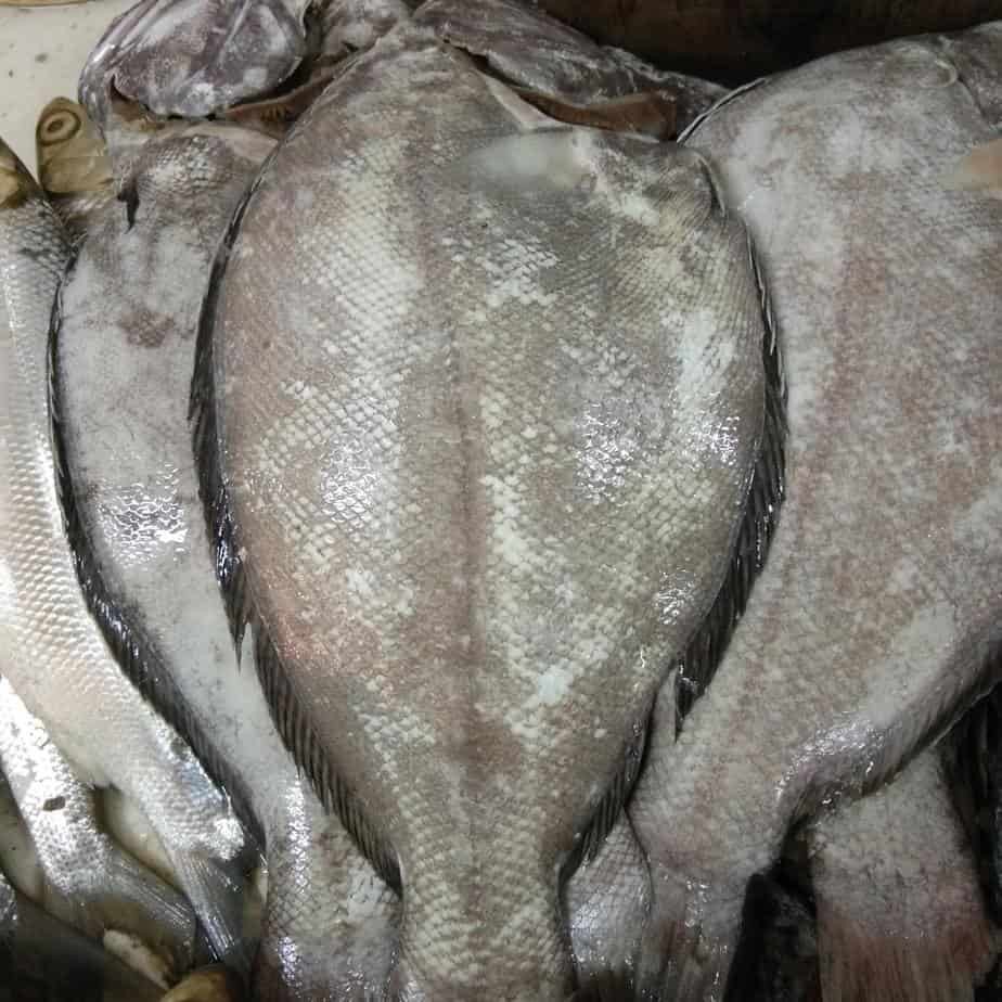 

Ikan sebelah 1kg