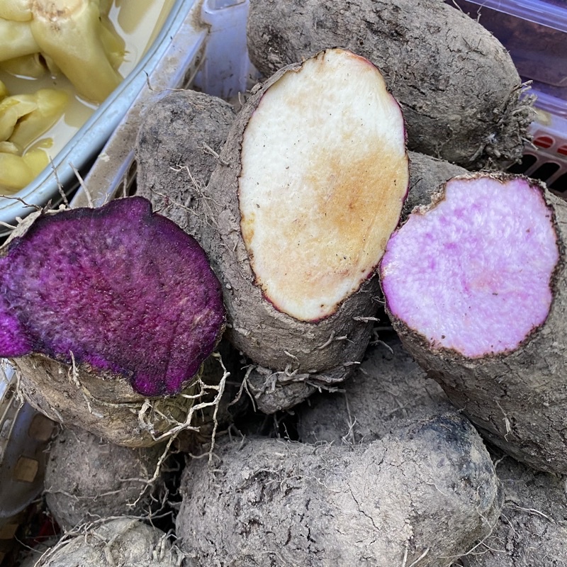 

(1kg) Thaisu/ Thai Su/ Ubi Ungu/ Keribang Pontianak/ Ubi Pontianak/ Thaisu Kalimantan/ Tai Su/ Taisu