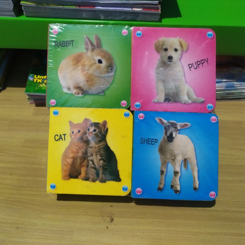 Boardbook seri binatang tebal buku anak