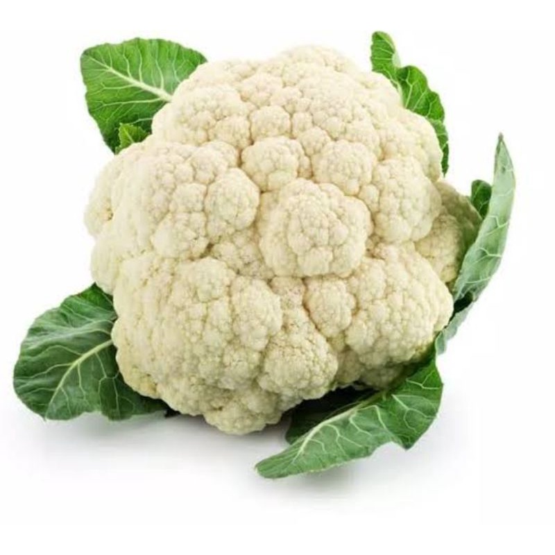 

KHUSUS BANJAR | Bunga Kol 500 Gram