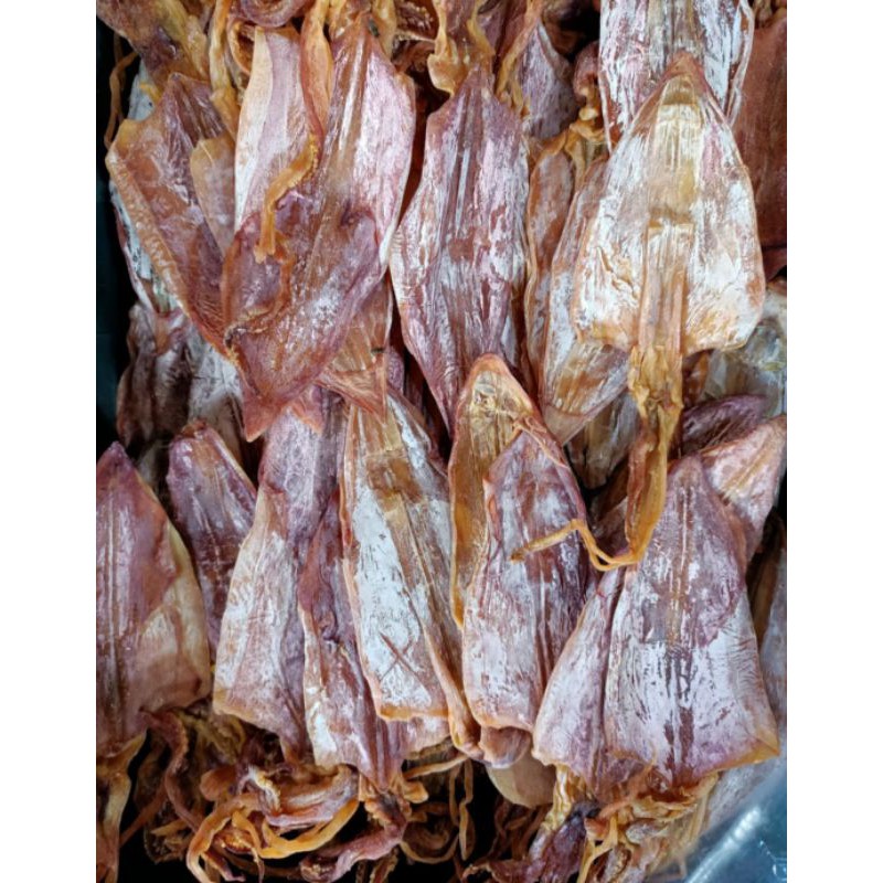 

Sotong Kering Pontianak / Dried Squid / Sotong Kalimantan / Sotong Pangkong Mentah