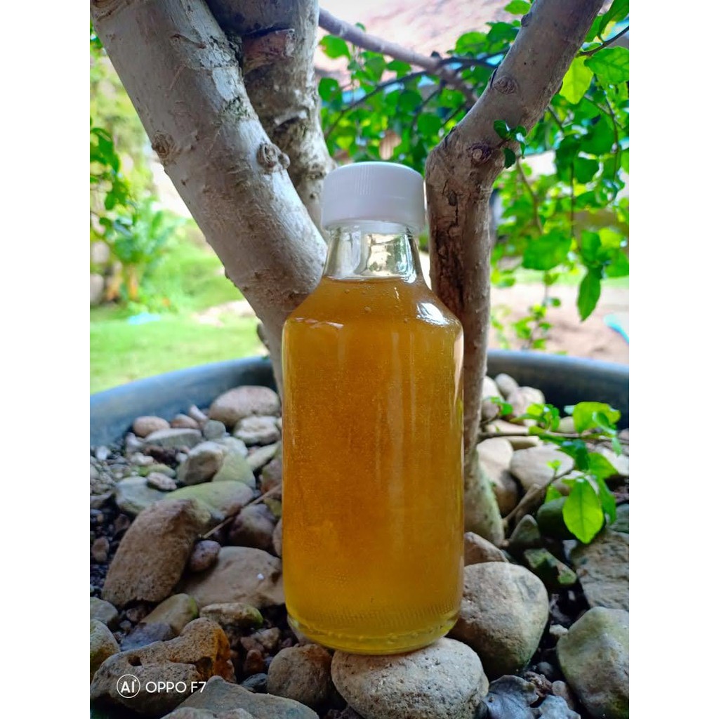 

MADU MURNI 100% ASLI NEKTAR BUNGA RANDU 145 ML
