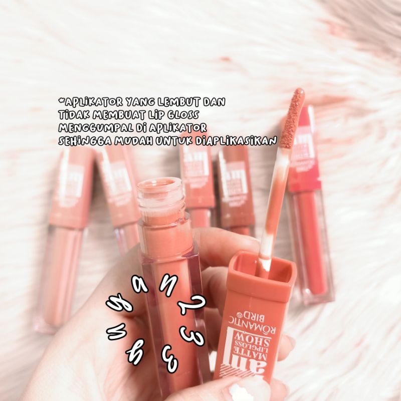 PROMO PER 6 PCS!!LIP GLOSS NUDE MATTE ROMANTIC BIRD RB203L