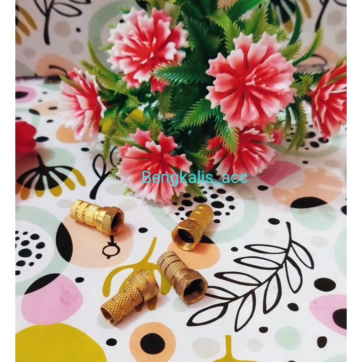 KONEKTOR LNB PARABOLA EMAS KARET SEAL JACK F5