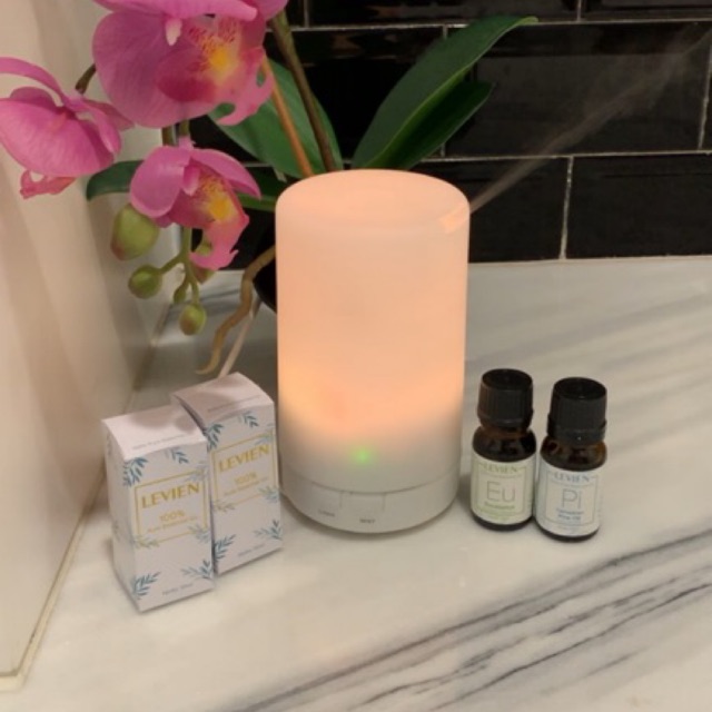 PROMO CUTE DIFFUSER + 2 LEVIEN ESSENTIAL OIL (Bisa pilih varian)