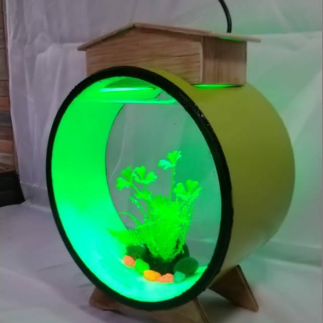 Aquascape mini