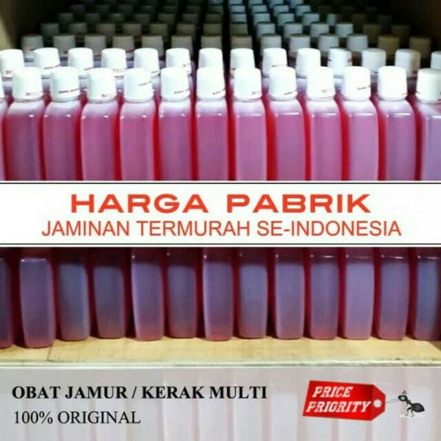 Obat Pembersih Jamur Kerak Kaca Mobil Penghilang Serbaguna Multi Asli