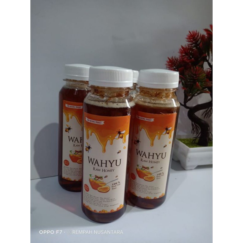 MADU ASLI MADU MURNI ORIGINAL