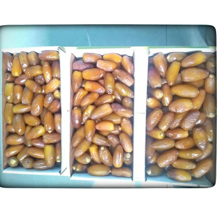 

[DISCOUNT 9MA47] kurma muda ruthob promil/kurma muda libya/kurma ruthob muda libya/kurma segar l/kurma ruthob premium Baru