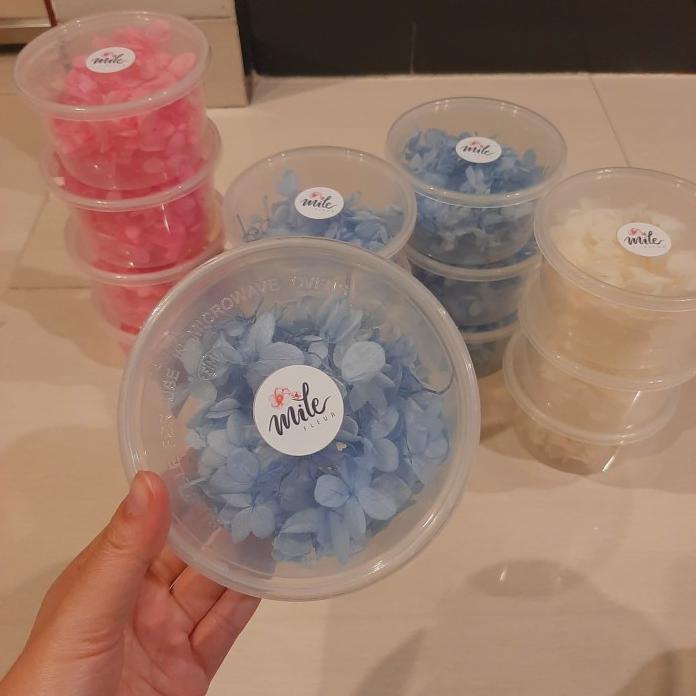 BUNGA KERING PRESERVED HYDRANGEA