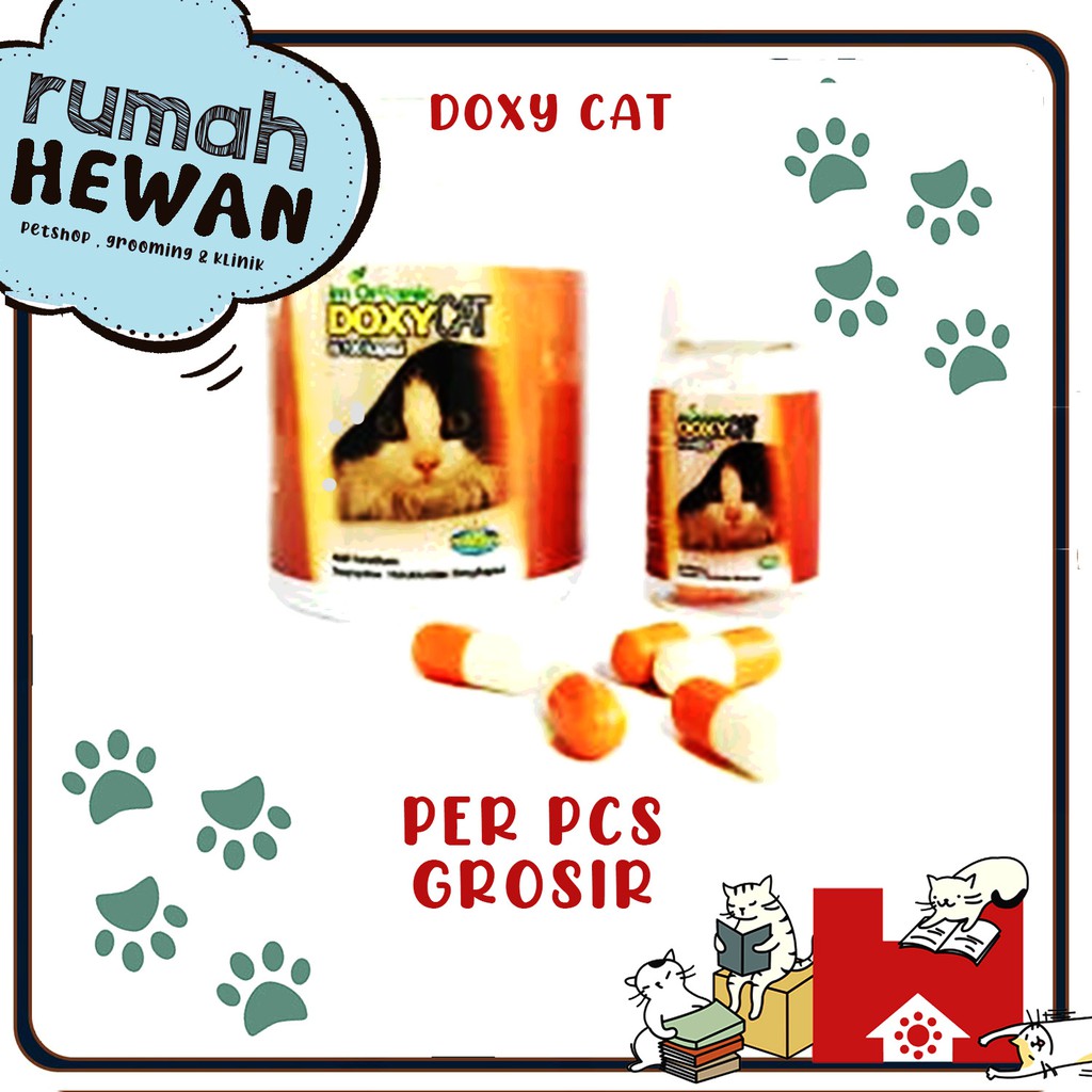 Doxycat / Doxy Cat Obat Antibiotik Flu, Pilek, Batuk, Demam, Kucing