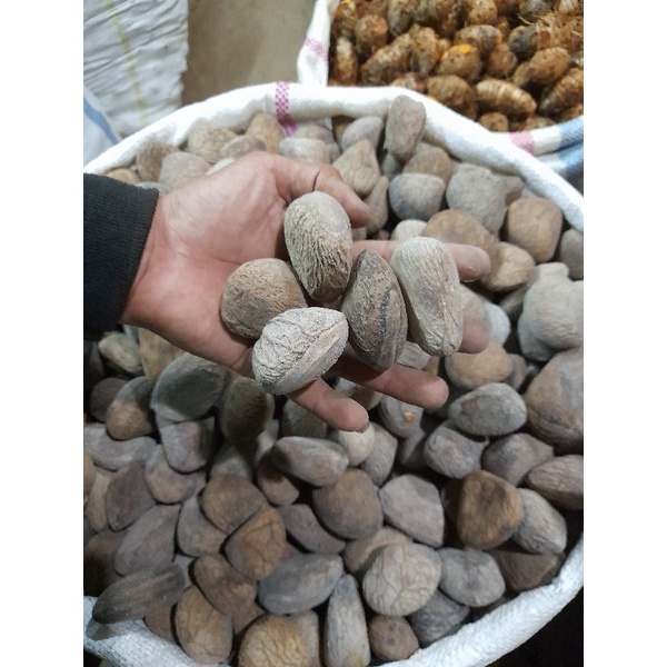 

kluwek 250 gram