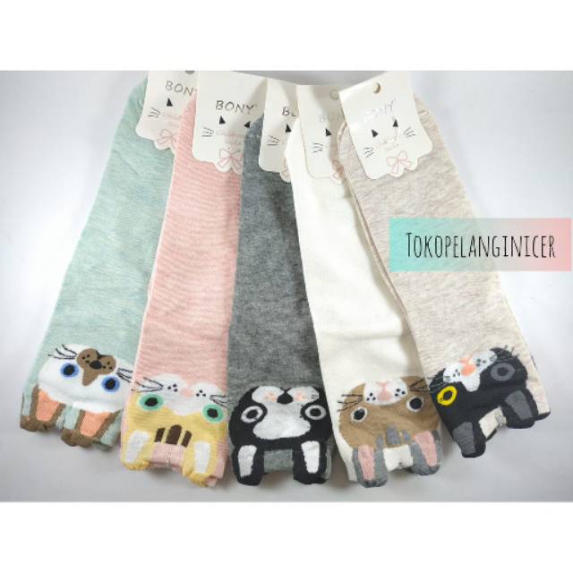 Kaos kaki Lucu Fashion Korea Motif Kucing Tokopelaginicer - kaus kaki korea tebal