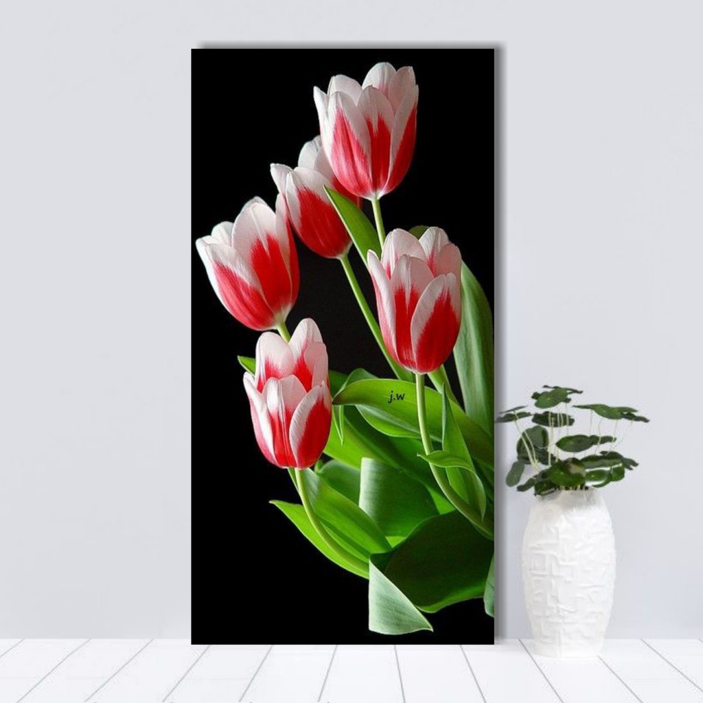 Hiasan Dinding Bunga Tulip Murah
