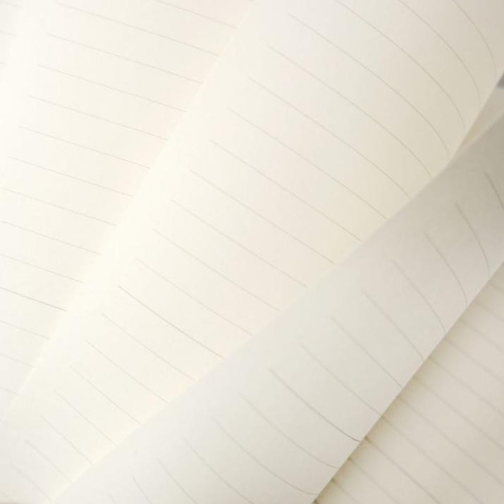 

TDM Slim Smart Ring Binder Transparan B5 [ kokuyo style ] Ready Stock