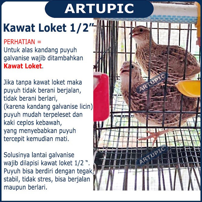 Kawat Loket HIJAU PVC 1/2 Inch PER METER Alas Lantai Kandang Puyuh Ram Ayakan Anti Karat