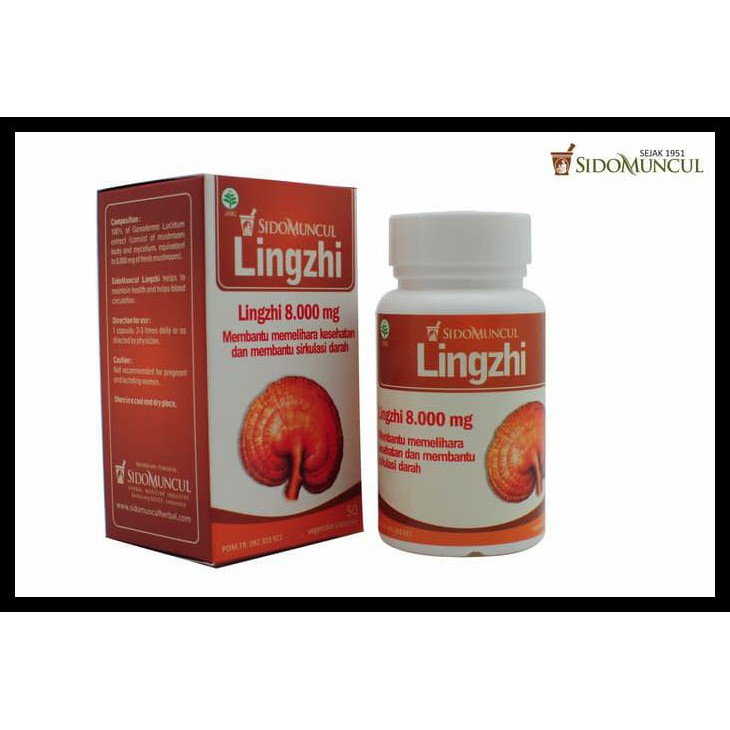 

DISKON! LINGZHI JAMUR 1000 KHASIAT KESEHATAN