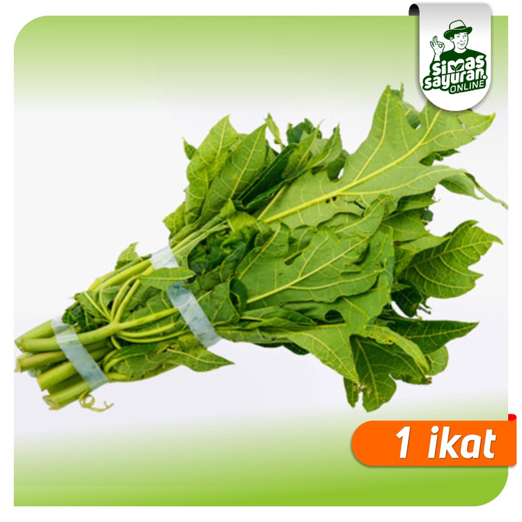 

Daun Pepaya 1 Ikat