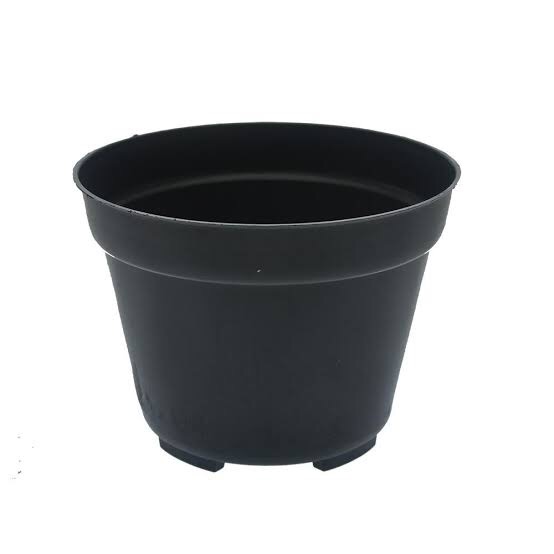 Pot hitam tanaman hias diameter 20 cm / pot hitam tanaman hias