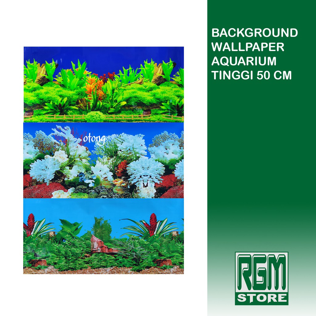 wallpaper background aquarium tinggi 50 cm aquascape