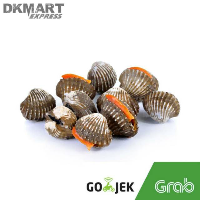 Kerang dara segar 500 gram