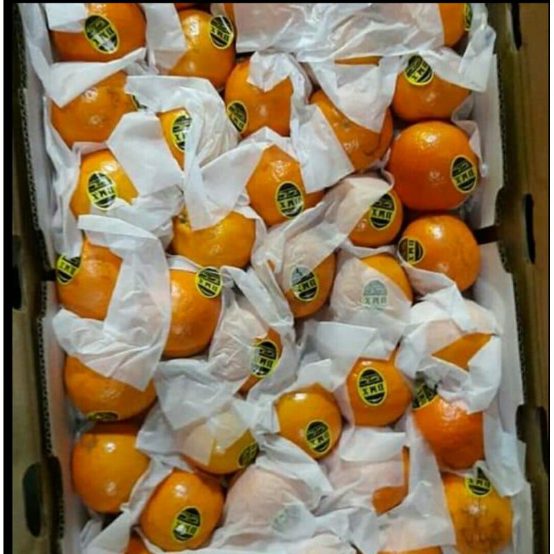 

Jeruk wogam fresh 1 kg