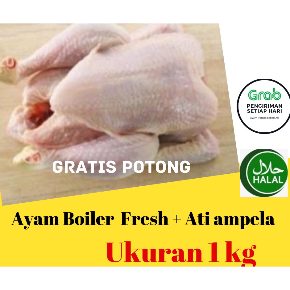 

Ayam Potong /Ayam Segar / Ayam Boiler 1KG