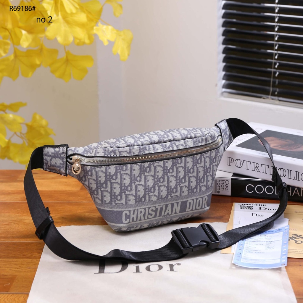 CD Canvas GHW Waist Bag R69186#