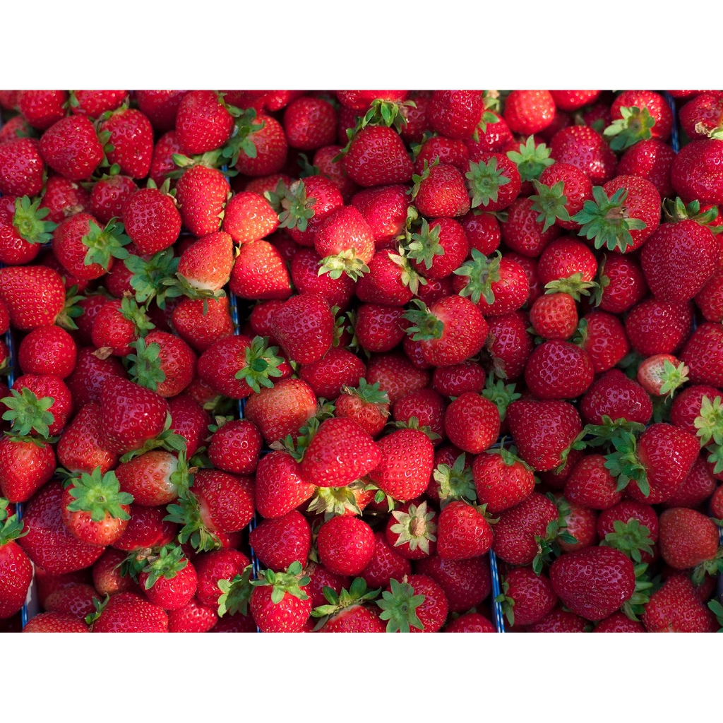 

STRAWBERRY /pack