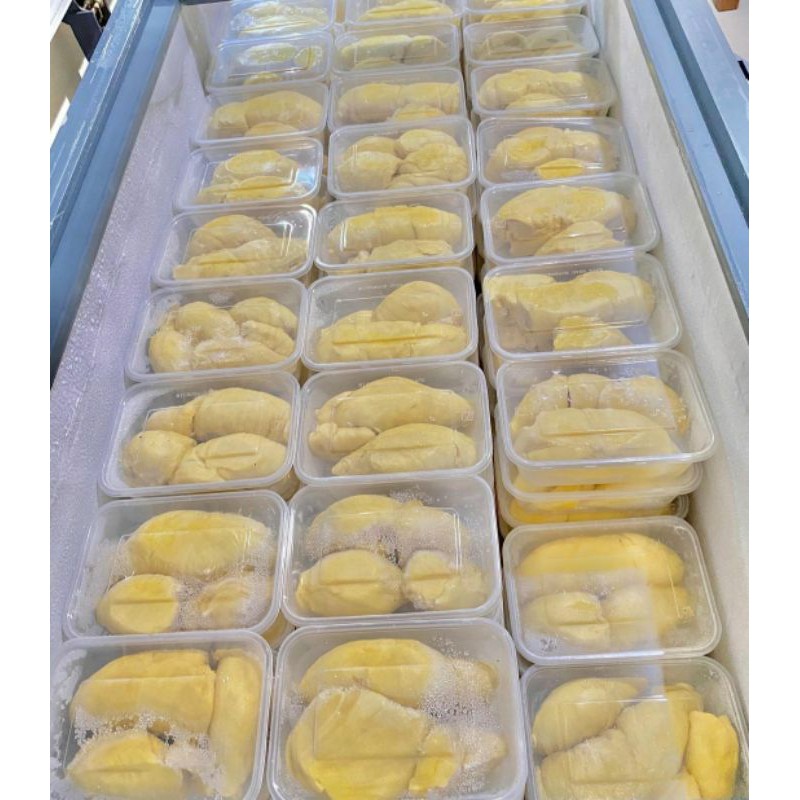 

Durian Montong Palu Premium