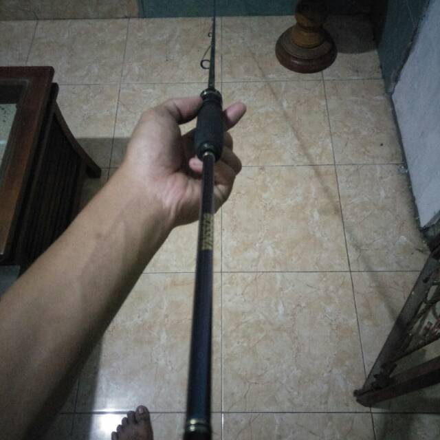 bossna bs monster 2 iguana