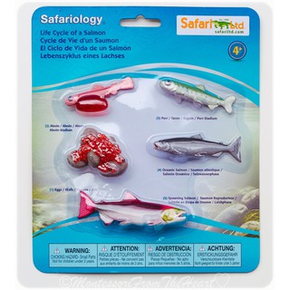 safari ltd salmon