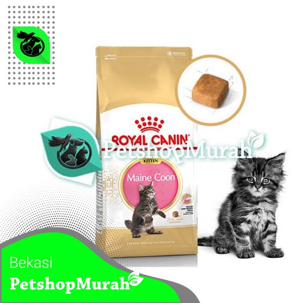 Cat Food / Makanan Kucing Royal Canin Kitten Maine Coon 2 Kg