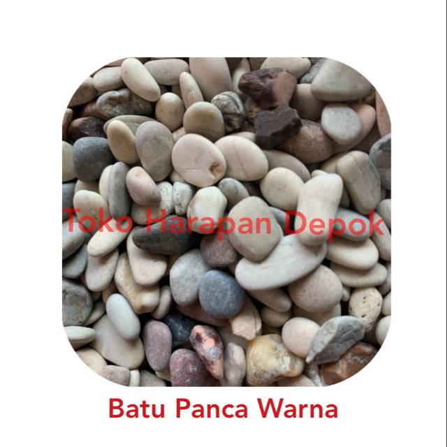  BATU  PANCAWARNA panca warna hiasan dekorasi  dasar aquarium  