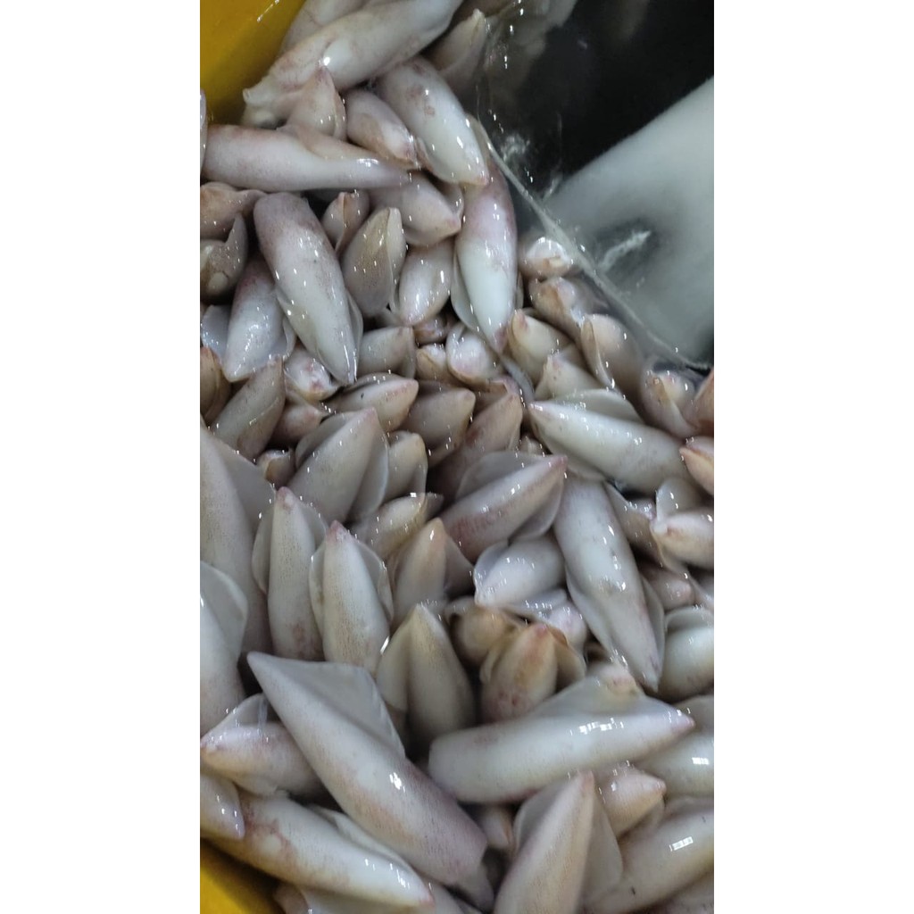 

Jual Cumi Kecil - 1Kg